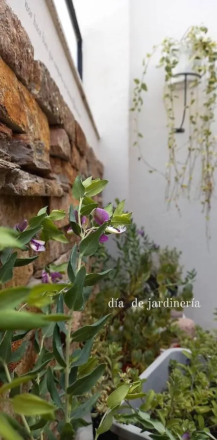 Chacabuco 63 - Merceditas Mendoza