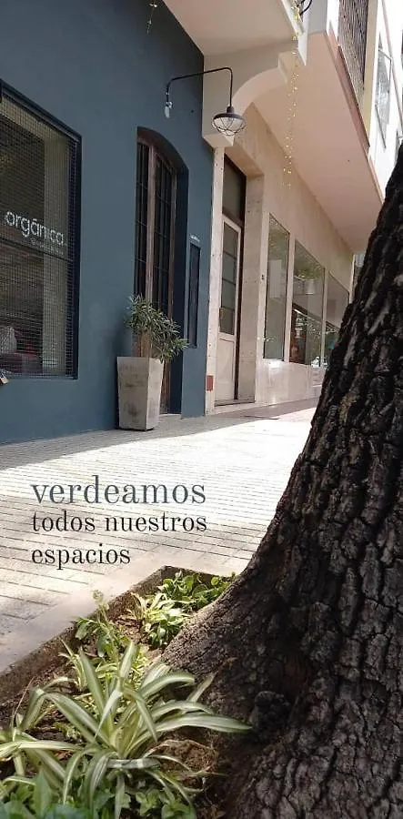 Apartamento Chacabuco 63 - Merceditas Mendoza